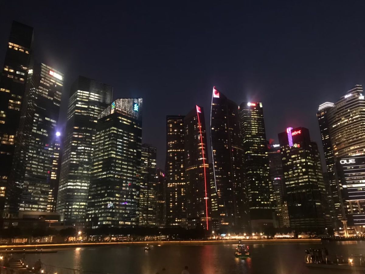 USS、アクアリウム、マーライオン、夜景
観光地もたくさんあって楽しかった〜！
