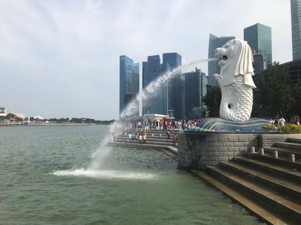 シンガポール「【海外】シンガポール」の写真：USS、アクアリウム、マーライオン、夜景...