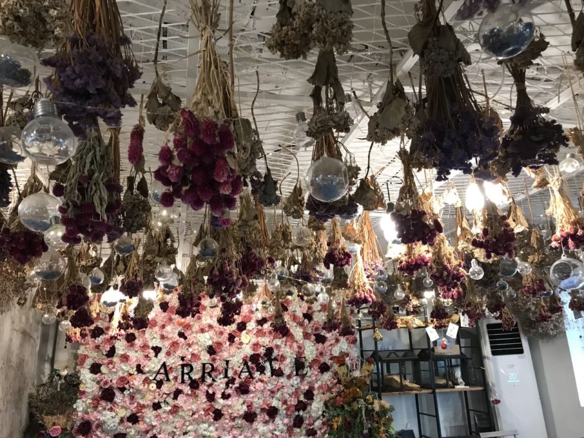 映えスポット巡り(*ﾟ▽ﾟ)