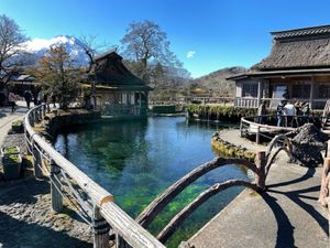 忍野八海。
富士湧水でできた池らしく澄んでいてとても綺麗。