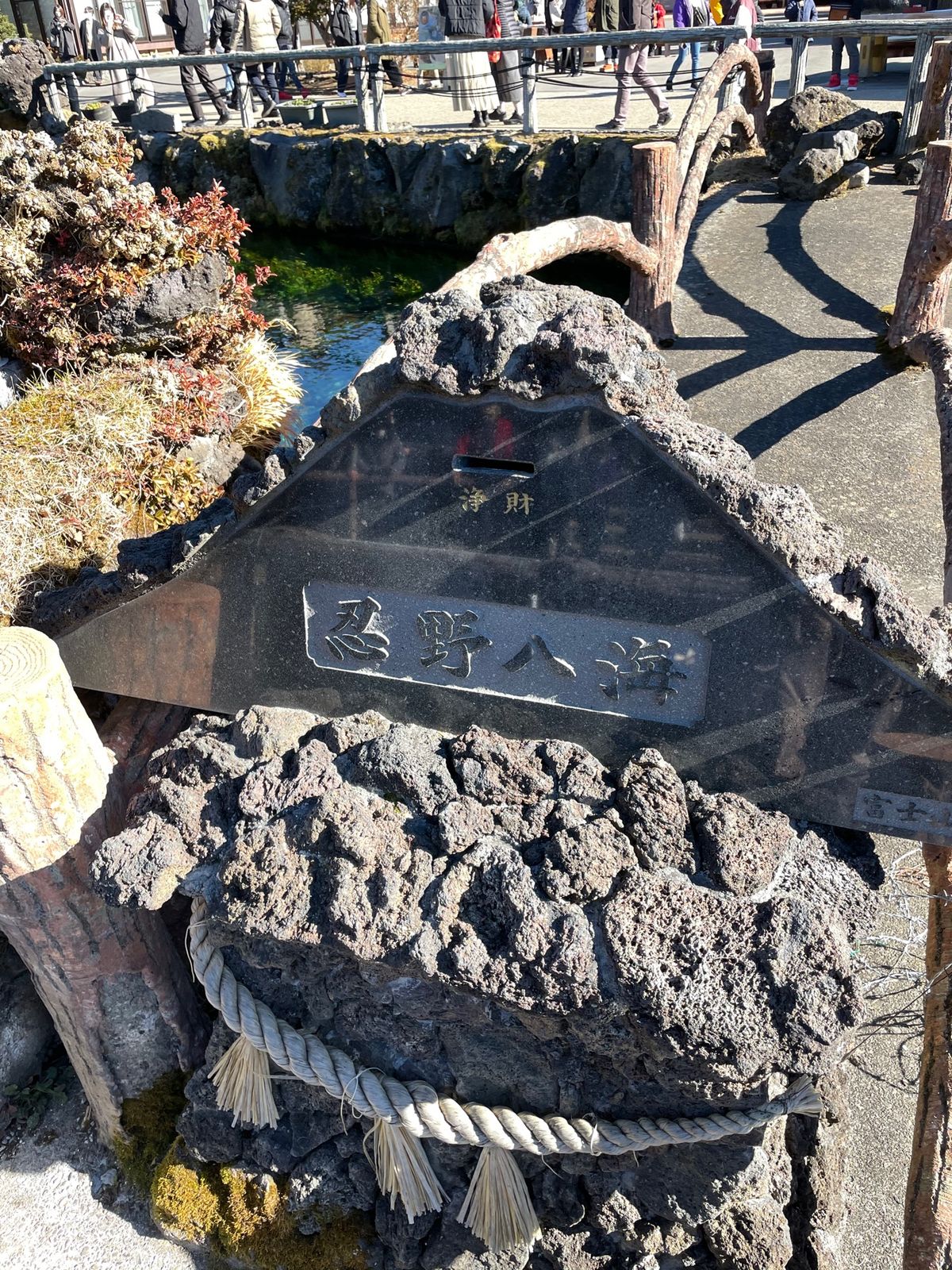 忍野八海。
富士湧水でできた池らしく澄んでいてとても綺麗。