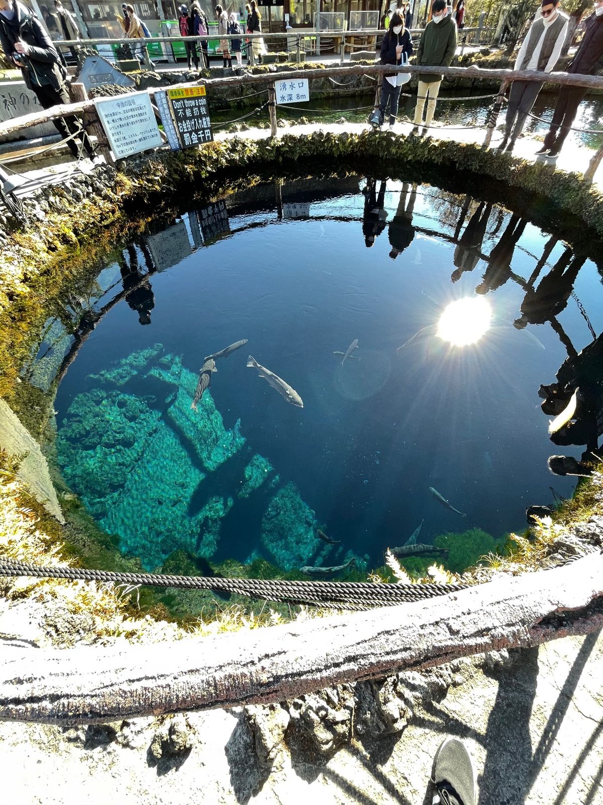 忍野八海。
富士湧水でできた池らしく澄んでいてとても綺麗。