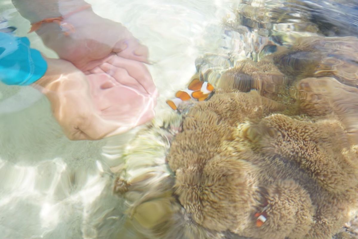 クラブメッドのホテルに宿泊(*ﾟ▽ﾟ)
プライベートビーチも最高に綺麗！！...