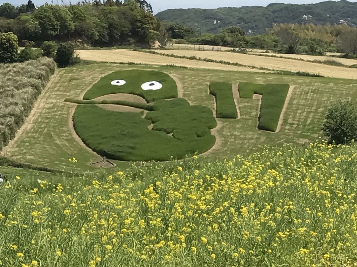 あわじ花さじきで自然満喫して、
廃校になった学校を使ってる施設へ行ったよ！...