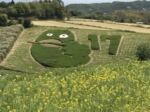 あわじ花さじきで自然満喫して、
廃校になった学校を使ってる施設へ行ったよ！...