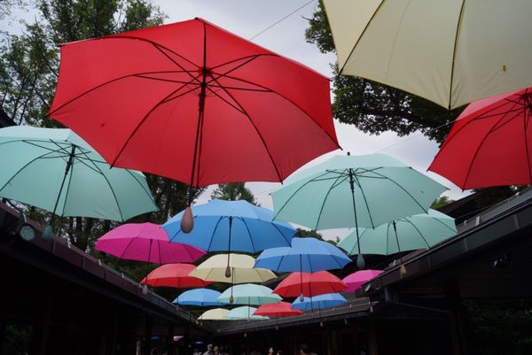 日本・軽井沢「【国内】長野」の写真