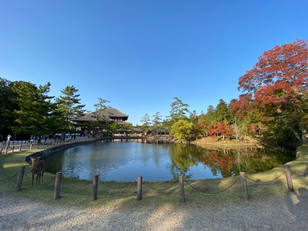 日本・奈良「【国内】奈良県」の写真