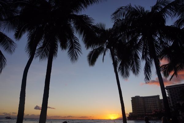 アメリカ(米国)・ハワイ「【海外】ハワイ」の写真