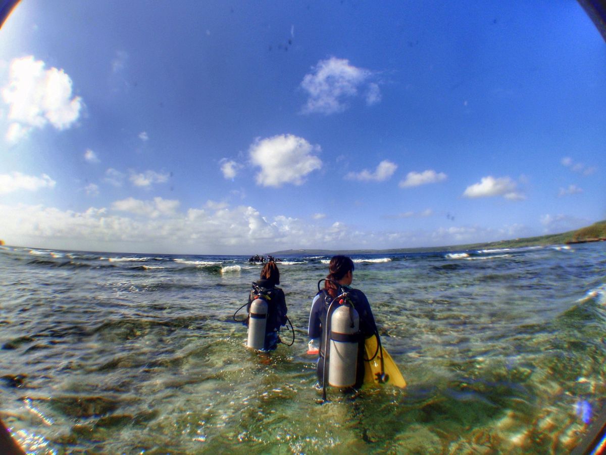 8th Mar. 2012 pic📷
ダイビング初日🤿

1本目🐠⋆...