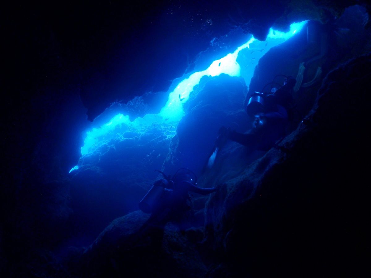 10th Mar. 2012 pic📷

2本目(Last dive)🐠🐠...