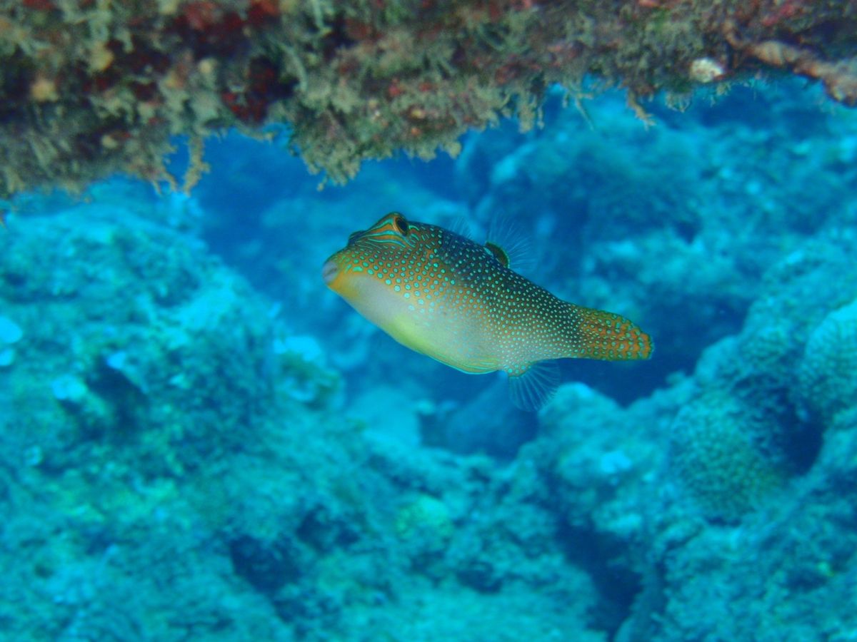 8th Mar. 2012 pic📷

in Lau Lau Beach🏖...