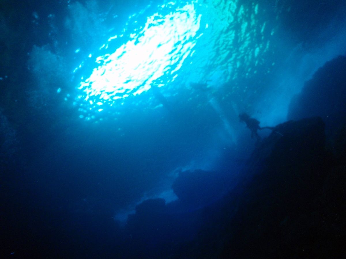 8th Mar. 2012 pic📷

in Grotto🪨
(穴って意味...