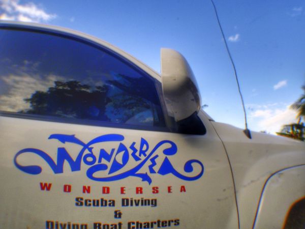 北マリアナ諸島・サイパン島「Saipan🇲🇵Diving🤿Trip👫」の写真：8th Mar. 2012 pic📷
タ...