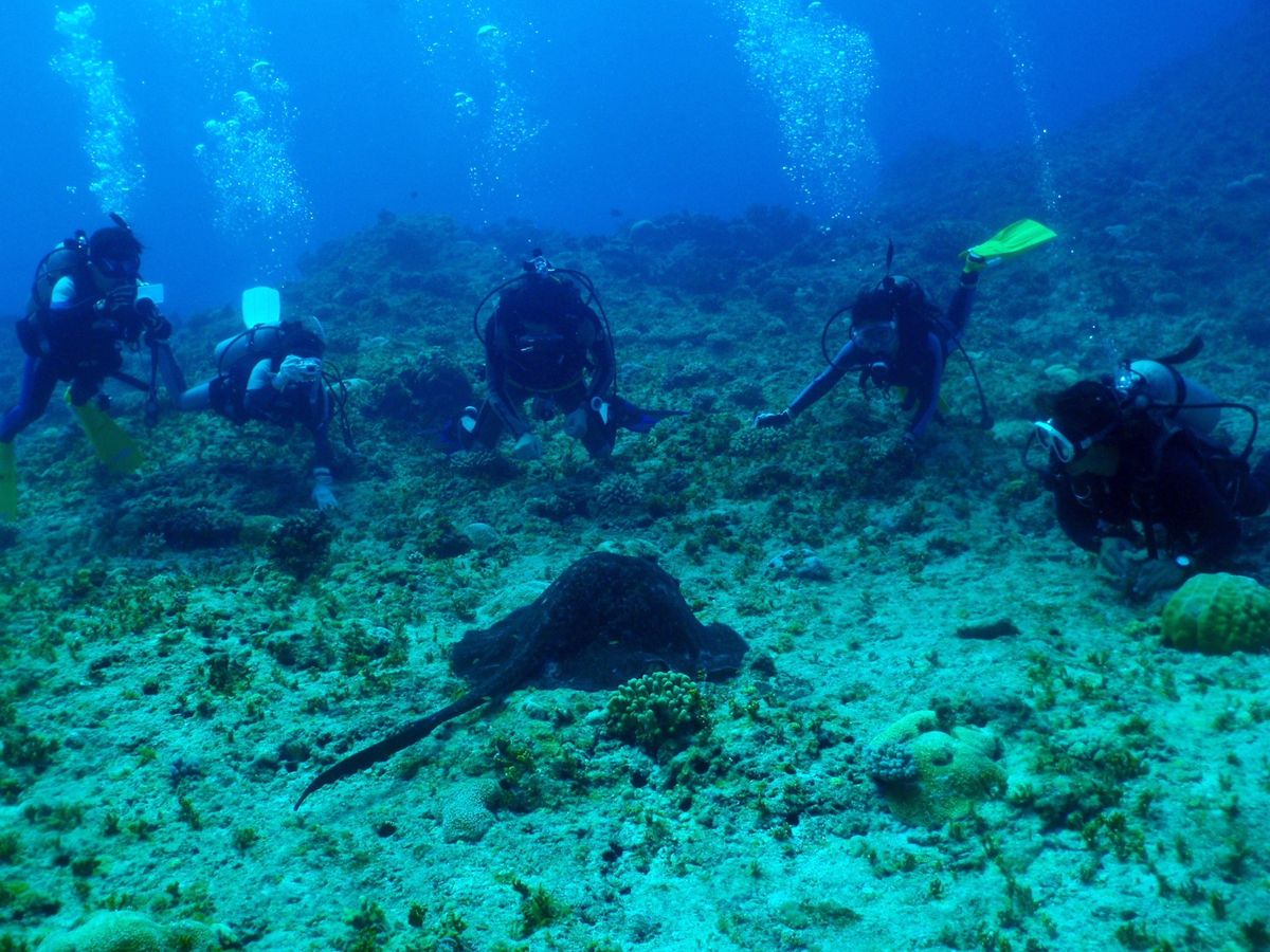 10th Mar. 2012 pic📷

in テニアングロット🪨
par...