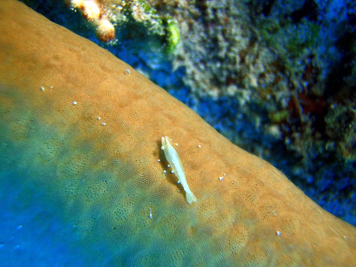 10th Mar. 2012 pic📷

in フレミング
part２‪✌...