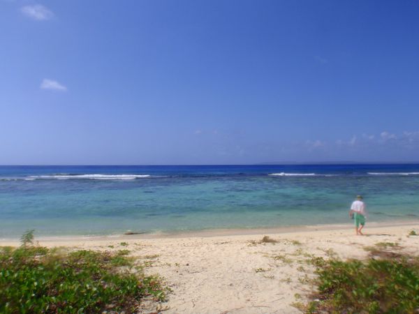 北マリアナ諸島・サイパン島「Saipan🇲🇵Diving🤿Trip👫」の写真：8th Mar. 2012 pic📷

...