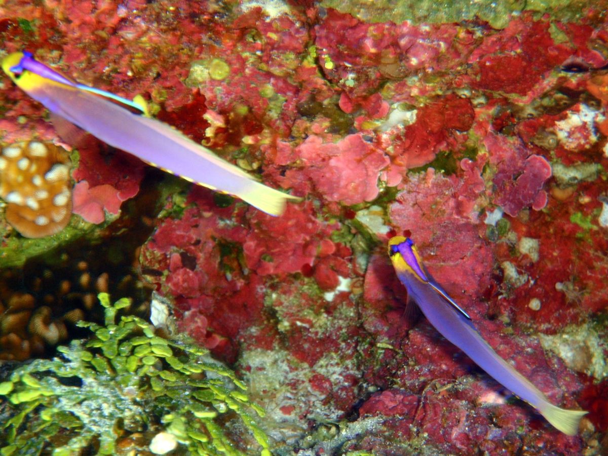 10th Mar. 2012 pic📷

１本目🐠⋆*
in フレミング
...