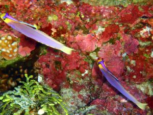 10th Mar. 2012 pic📷

１本目🐠⋆*
in フレミング
...