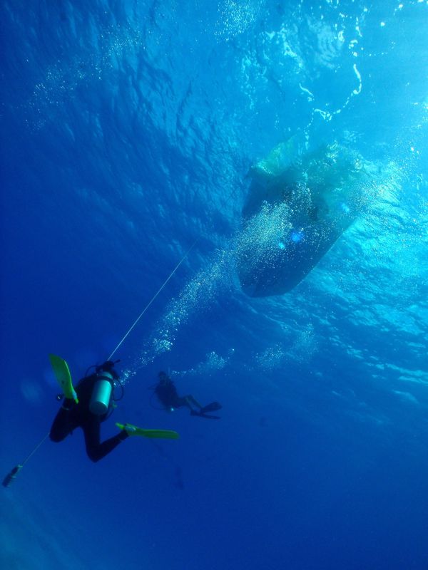 北マリアナ諸島・サイパン島「Saipan🇲🇵Diving🤿Trip👫」の写真：9th Mar. 2012 pic📷

...