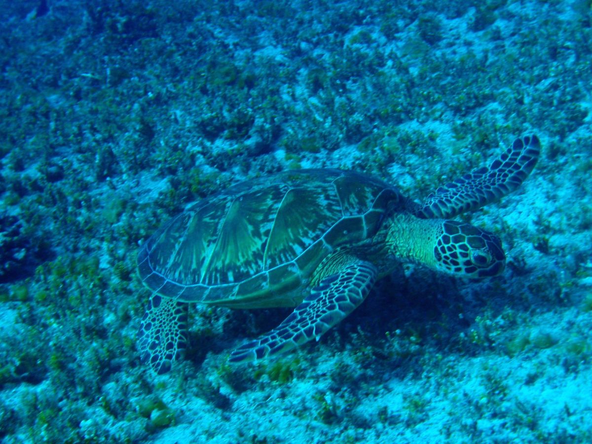 10th Mar. 2012 pic📷

in フレミング
part２‪✌...