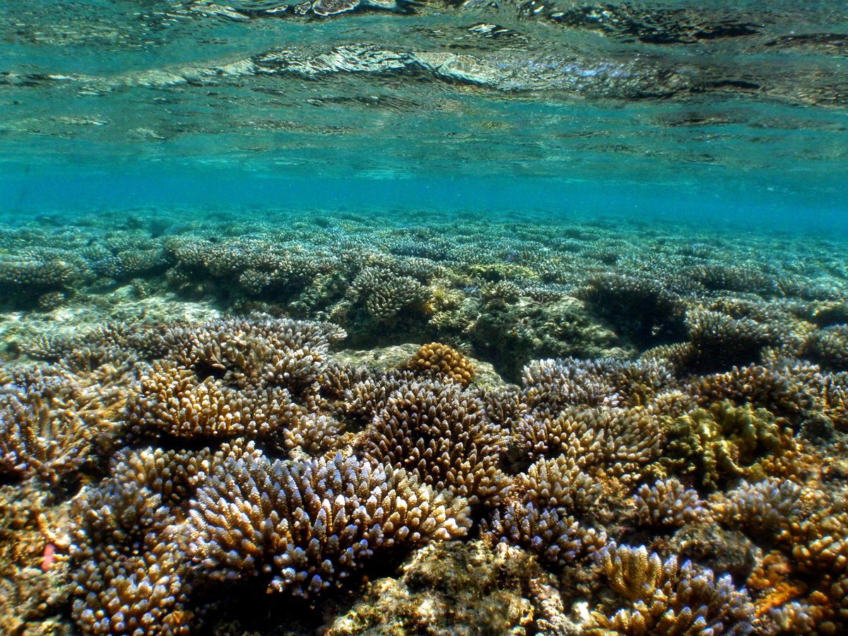 8th Mar. 2012 pic📷

in Obyan Beach🏖
p...