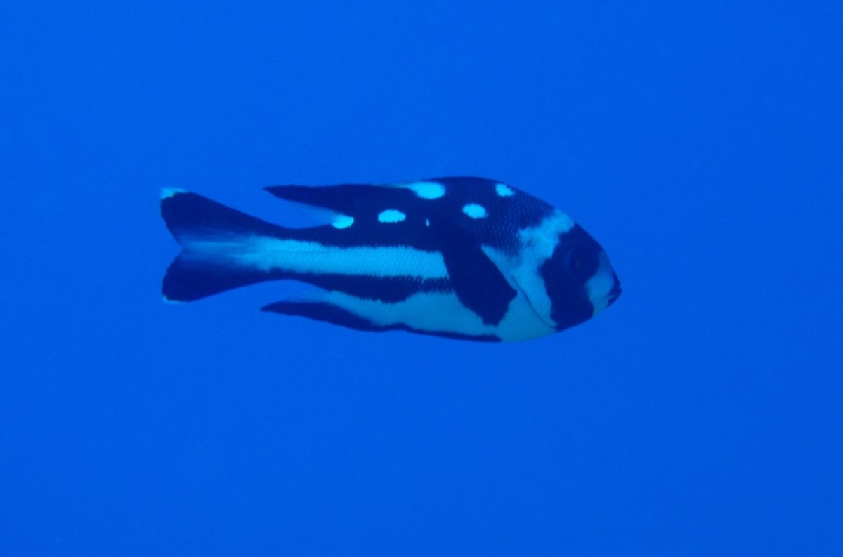 8th Mar. 2012pic📷

in Obyan Beach 🏖
p...