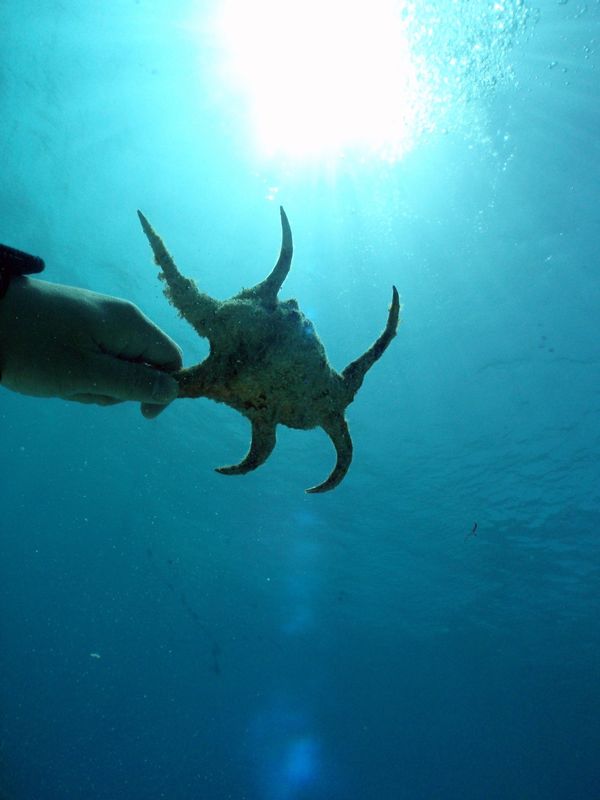 北マリアナ諸島・サイパン島「Saipan🇲🇵Diving🤿Trip👫」の写真：8th Mar. 2012 pic📷

...
