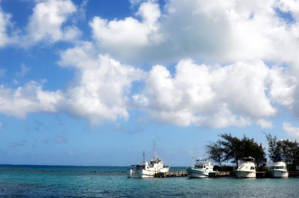 北マリアナ諸島・サイパン島「Saipan🇲🇵Diving🤿Trip👫」の写真：9th Mar. 2012 pic📷

...