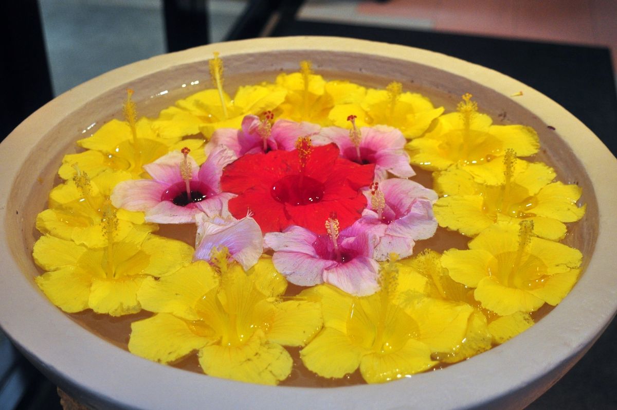 7th Mar. 2012 pic📷

ホテル散策🔍*°

♔♕♖♗♘♙♚...