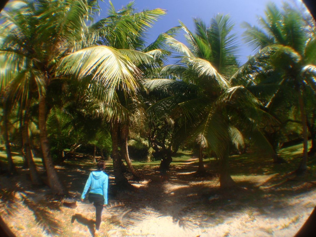 8th Mar. 2012 pic📷

in Obyan Beach🏖
(...