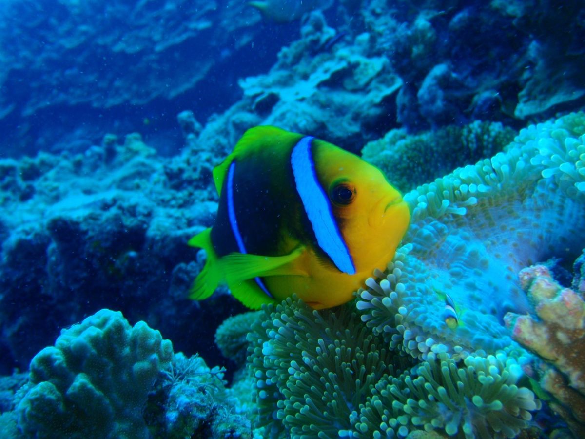 8th Mar. 2012 pic📷

in Lau Lau Beach🏖...