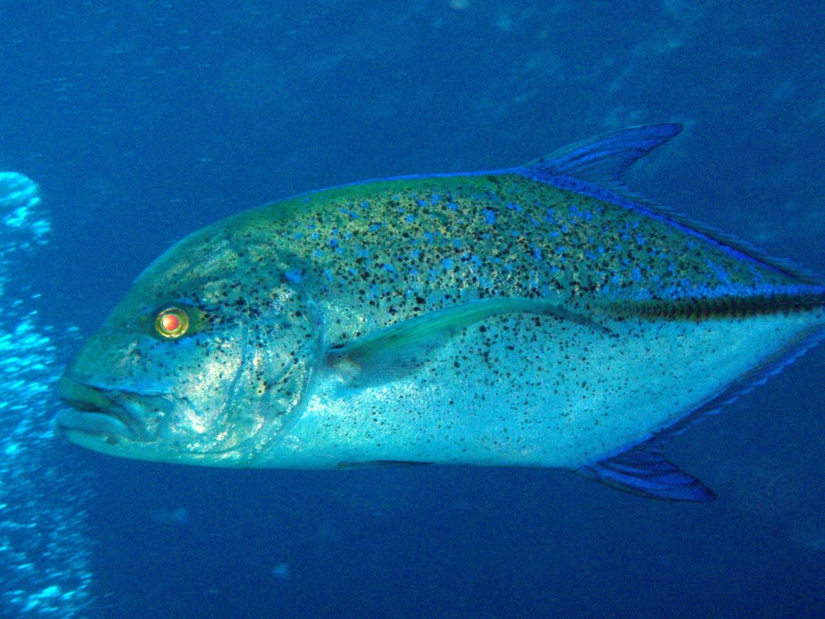 8th Mar. 2012 pic📷

in Grotto🪨
part３
...