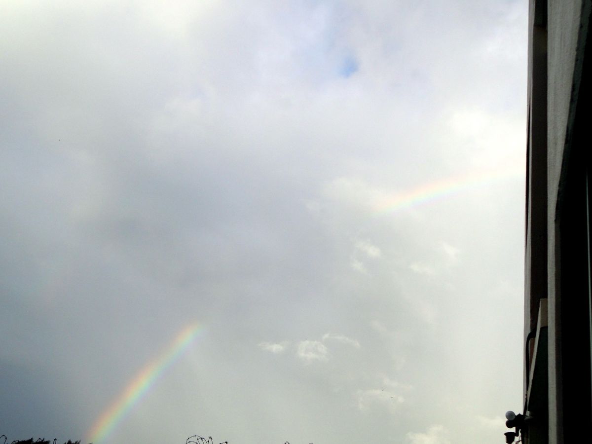 9th Mar. 2012 pic📷

虹～🌈✨

good diving...