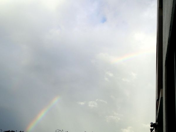 北マリアナ諸島・サイパン島「Saipan🇲🇵Diving🤿Trip👫」の写真：9th Mar. 2012 pic📷

...