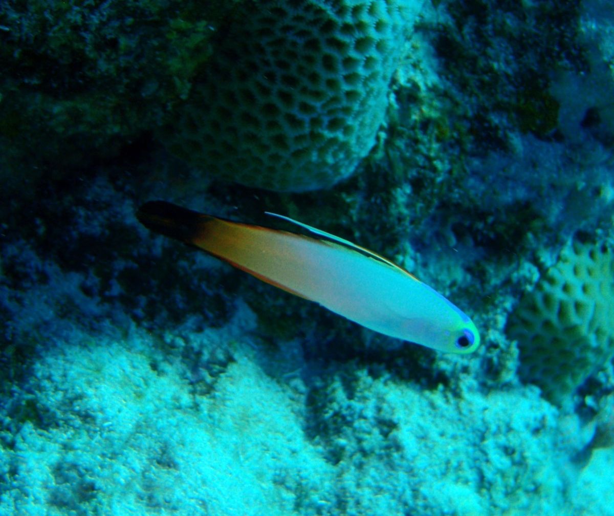 8th Mar. 2012pic📷

in Obyan Beach 🏖
p...