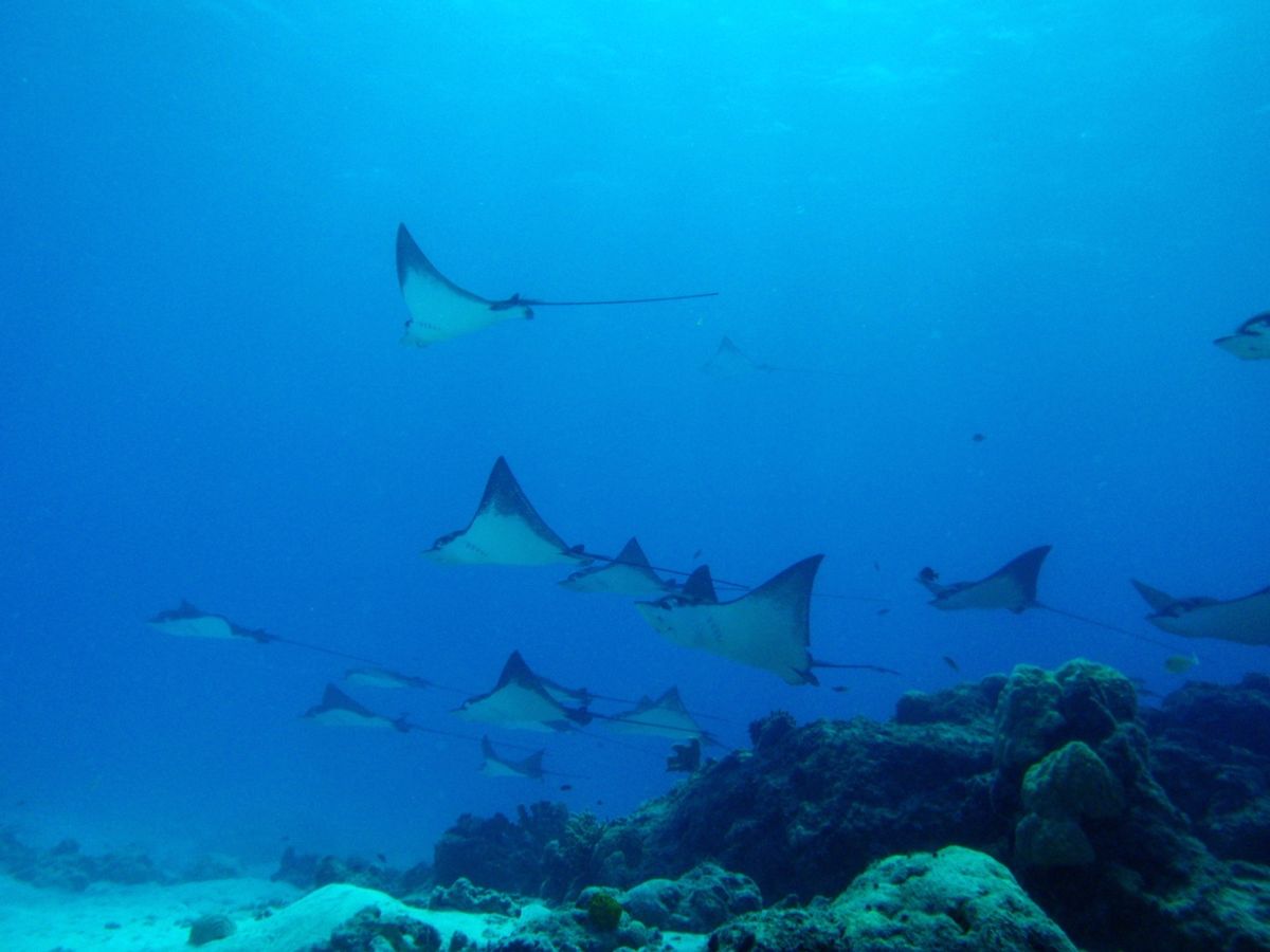 9th Mar. 2012 pic📷

２本目🐠🐠⋆*
in ダブルレ...