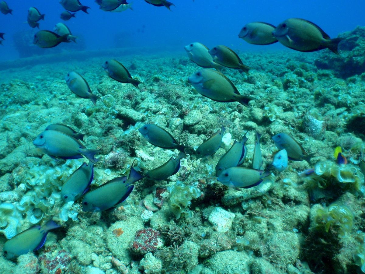 9th Mar. 2012 pic📷

in Lau Lau Beach🏖...