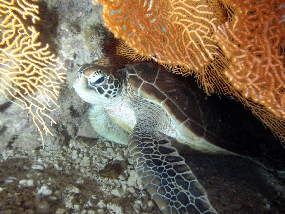 8th Mar. 2012 pic📷

in Grotto🪨
part３
...