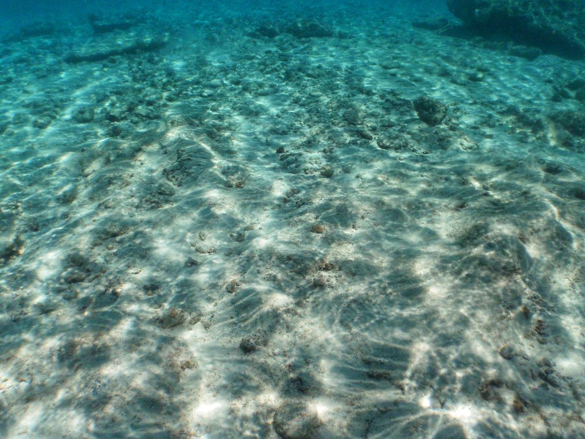 8th Mar. 2012 pic📷

in Obyan Beach🏖
p...