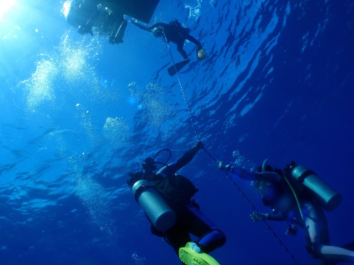 10th Mar. 2012 pic📷

in テニアングロット
part...