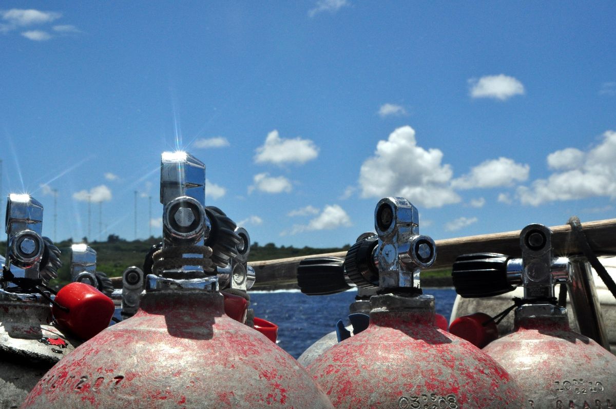 10th Mar. 2012 pic📷

ダイビング3日目(Last da...