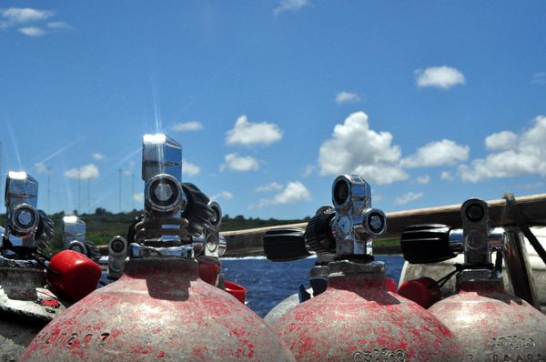 北マリアナ諸島・サイパン島「Saipan🇲🇵Diving🤿Trip👫」の写真：10th Mar. 2012 pic📷
...