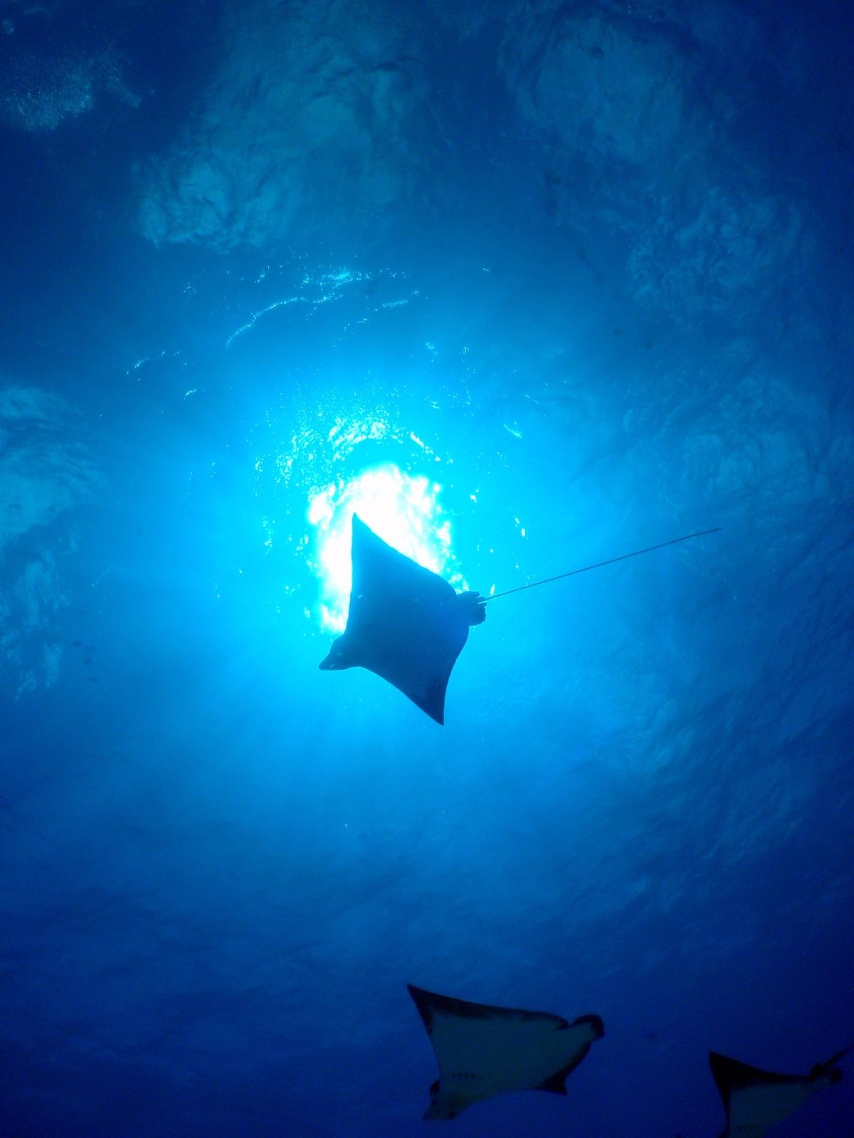 9th Mar. 2012 pic📷

in ダブルレック
part２‪✌...