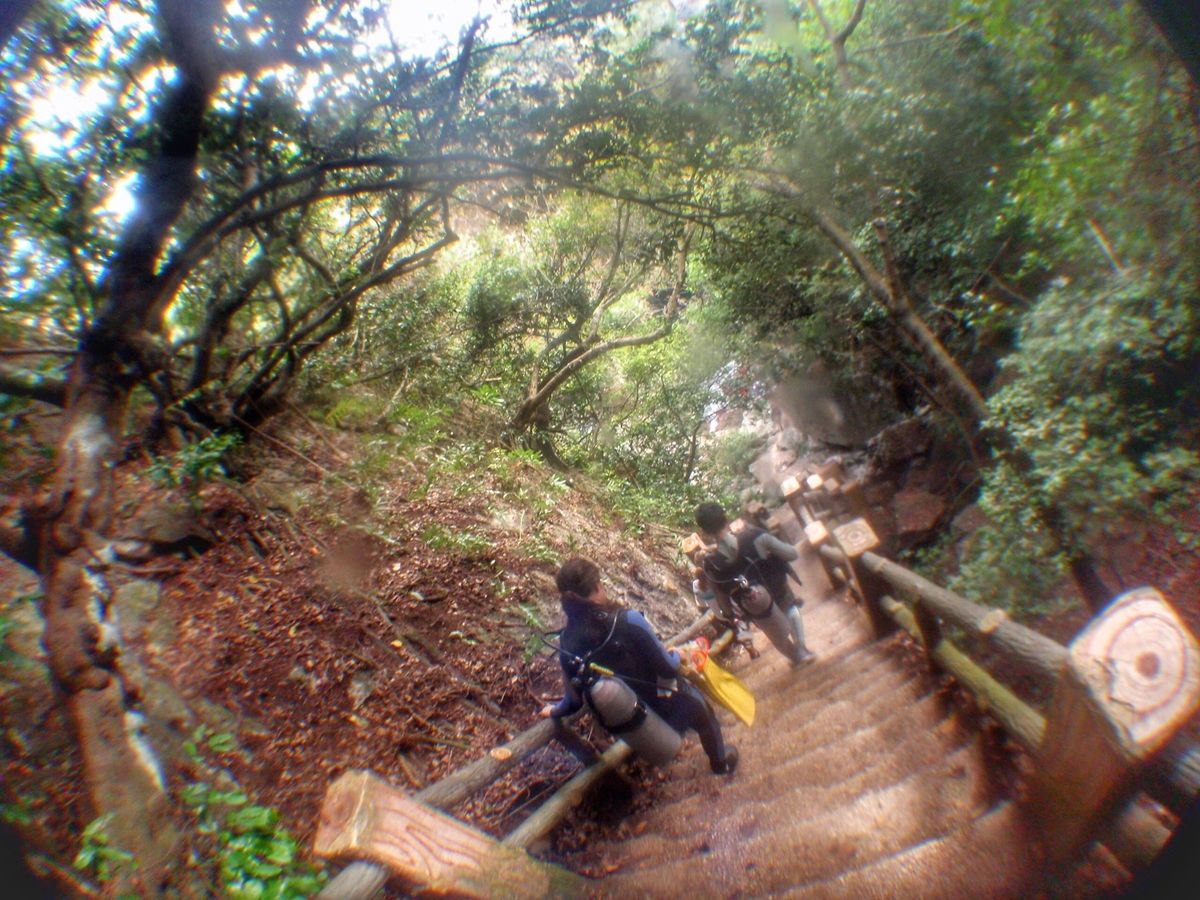 8th Mar. 2012 pic📷

in Grotto🪨
(穴って意味...