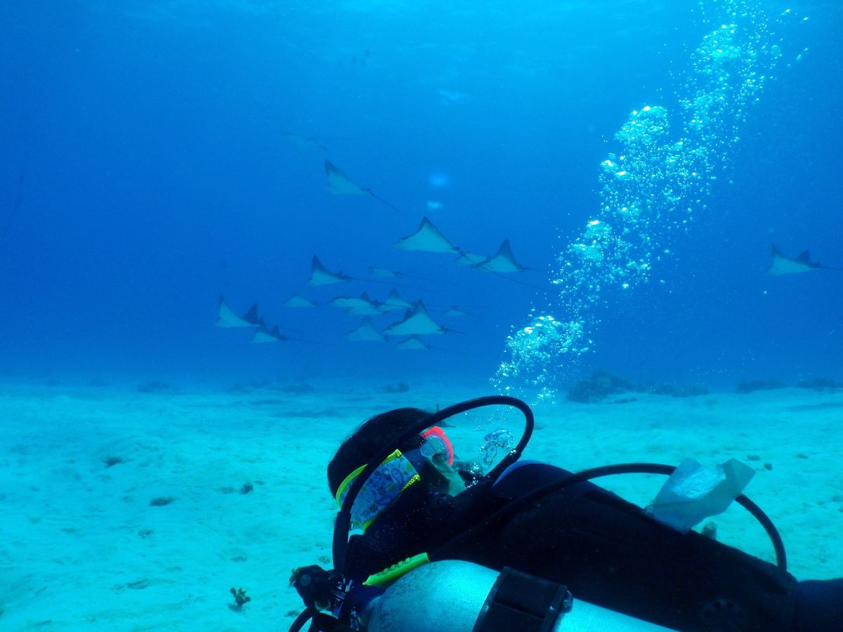 9th Mar. 2012 pic📷

２本目🐠🐠⋆*
in ダブルレ...
