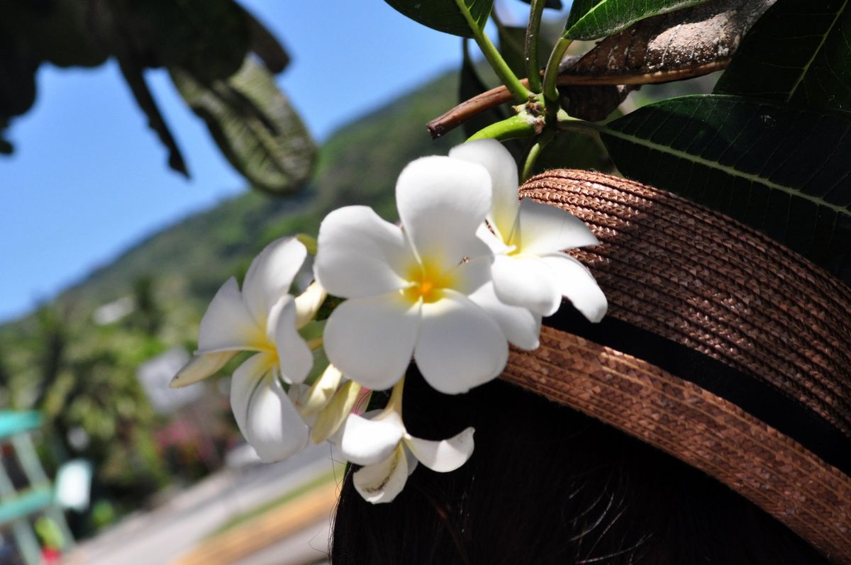 11st Mar. 2012 pic📷

お散歩っ👣👣
part２

❁❁❁