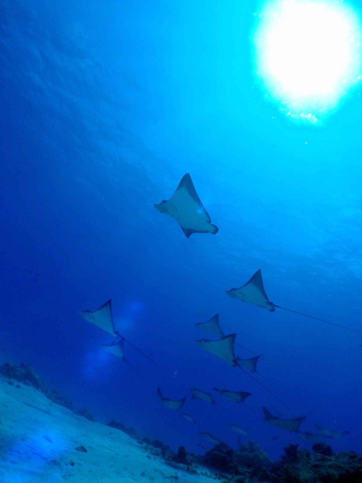 9th Mar. 2012 pic📷

in ダブルレック
part２‪✌...