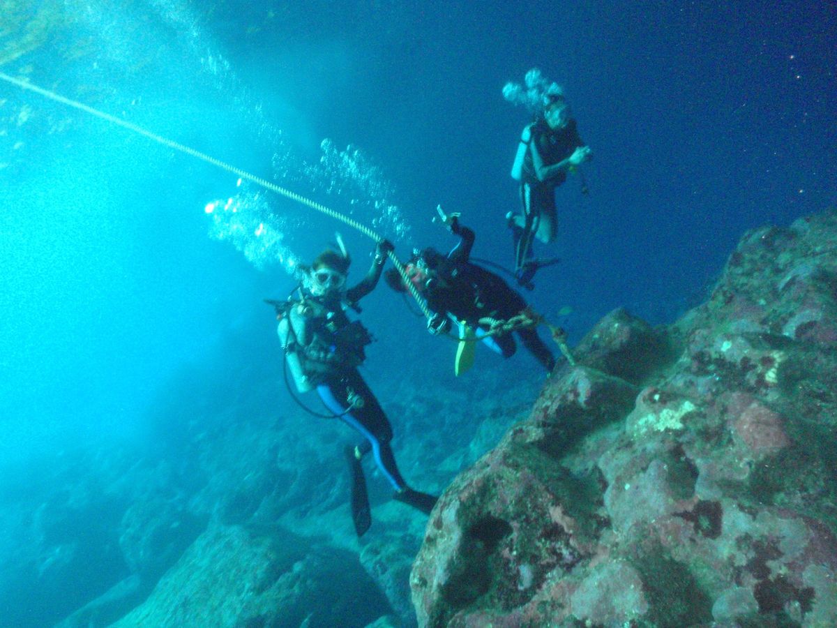 8th Mar. 2012 pic📷

in Grotto🪨
part４
...