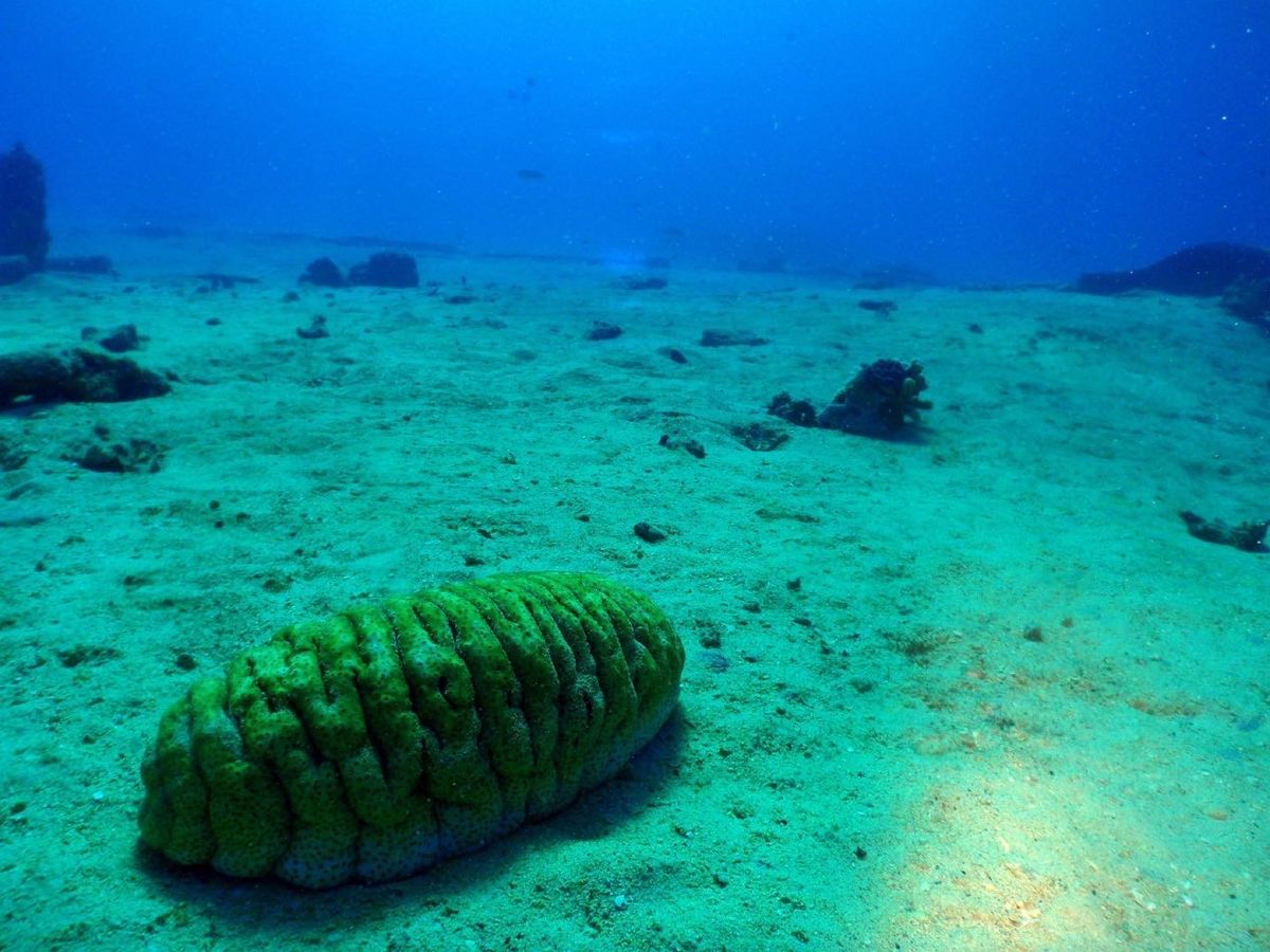 9th Mar. 2012 pic📷

in 松安丸⚓
part４‪✌︎✌...