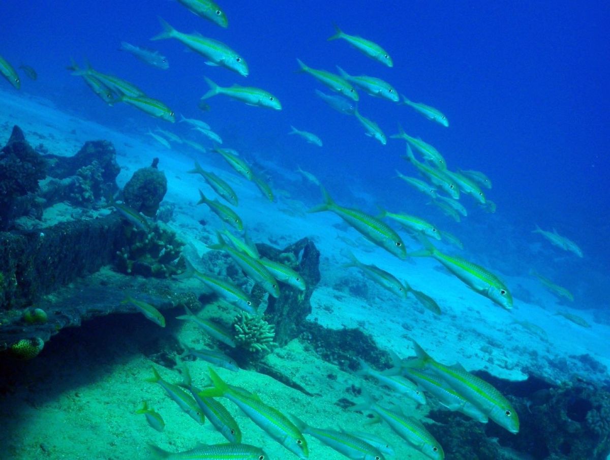 9th Mar. 2012 pic📷

in 松安丸⚓
part４‪✌︎✌...